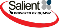 Salient IT's Logo