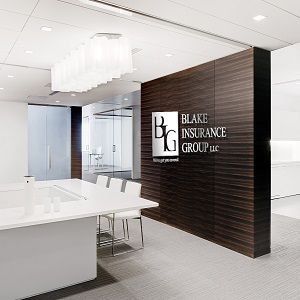 Blake Insurance Group LLC - Health Car Home Life Business Insurance Peoria, AZ's Logo