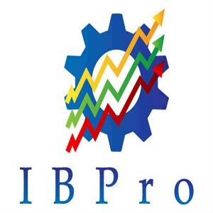 IBProWebsites's Logo
