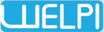 Welpi SEO Experts Los Angeles's Logo