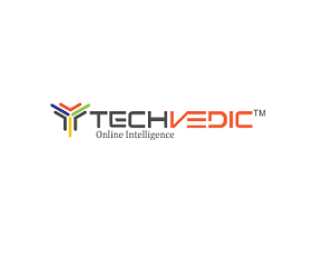 Techvedic's Logo