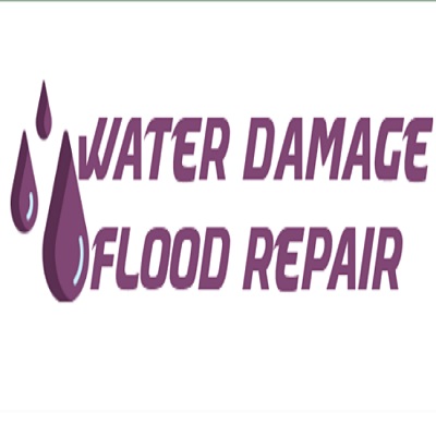 Dependable Restoration Service Miami's Logo