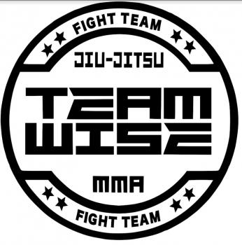 Team Wise Training Center's Logo
