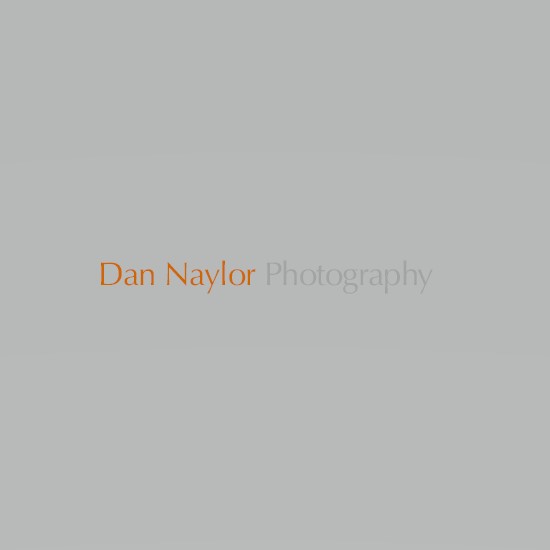 Dan Naylor Photography's Logo
