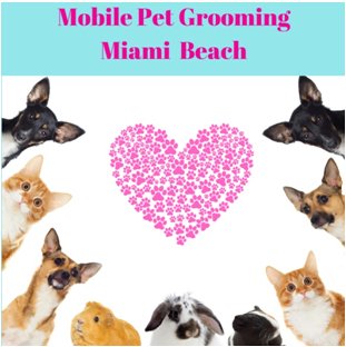 Mobile Pet Grooming Miami Beach's Logo