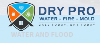 Dry Pro Water Fire Mold Inc's Logo