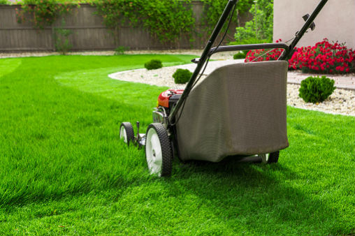 Moore's Lawn Care Services