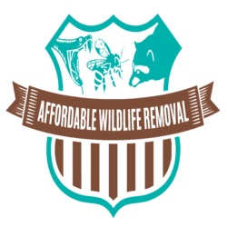 Affordable Wildlife Removal's Logo