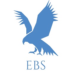 Enhanced Business Solutions's Logo