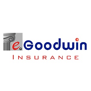 eGoodwin Insurance Agency's Logo