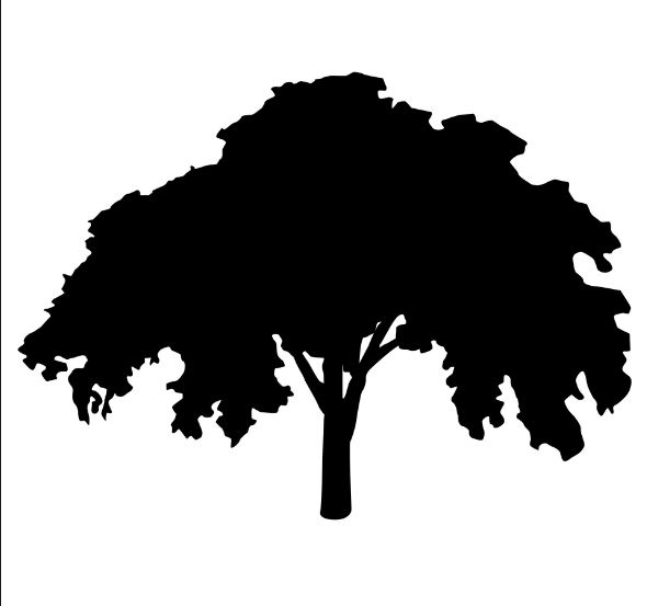 Elm Tree Service Cincinnati's Logo