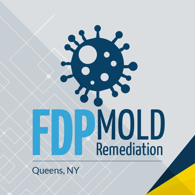 FDP Mold Remediation's Logo