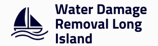 Basement Water Pump Long Island's Logo
