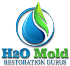 H20 Mold Restoration Gurus of Newport Beach's Logo