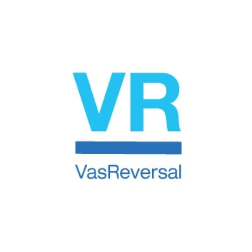 VasReversal's Logo