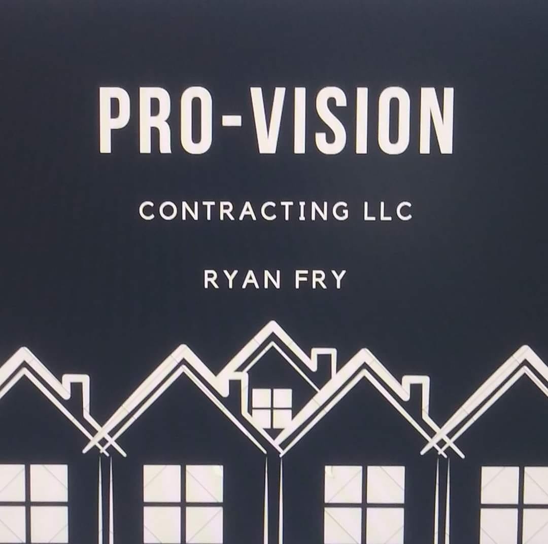 Pro-Vision's Logo