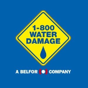 1-800 WATER DAMAGE of Greater Monmouth County's Logo